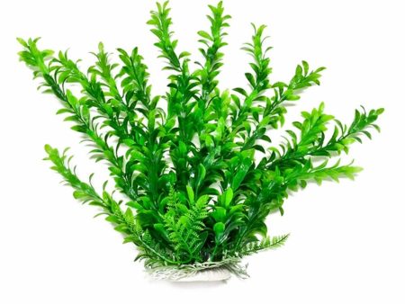 Aquatop Anacharis Aquarium Plant with Weighted Base Green 1ea 6 in For Sale