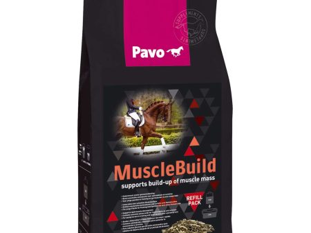 Pavo MuscleBuild Cheap