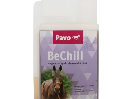 Pavo BeChill Discount